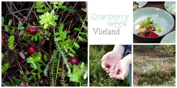 Cranberryweek Vlieland 18